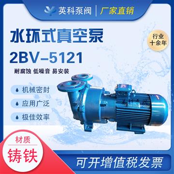 水（shuǐ）環式真空泵